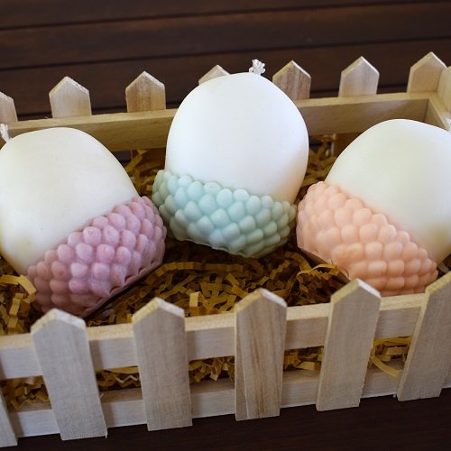 Winter Edition "Βελανίδι"