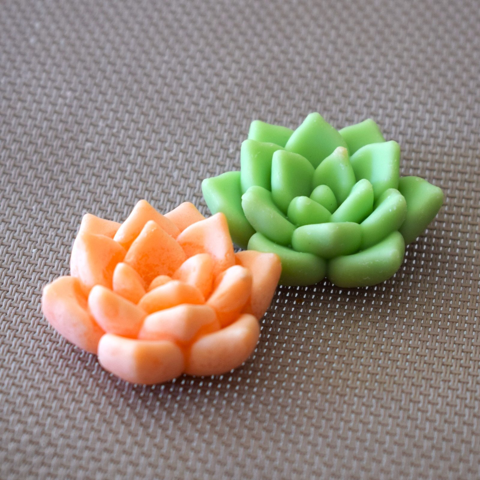 Παχύφυτα Wax Melts