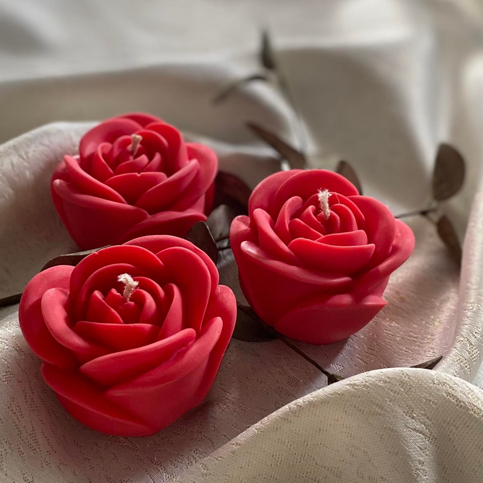 IMG-57ebc83b27e2f433601b2f57513d439a-V