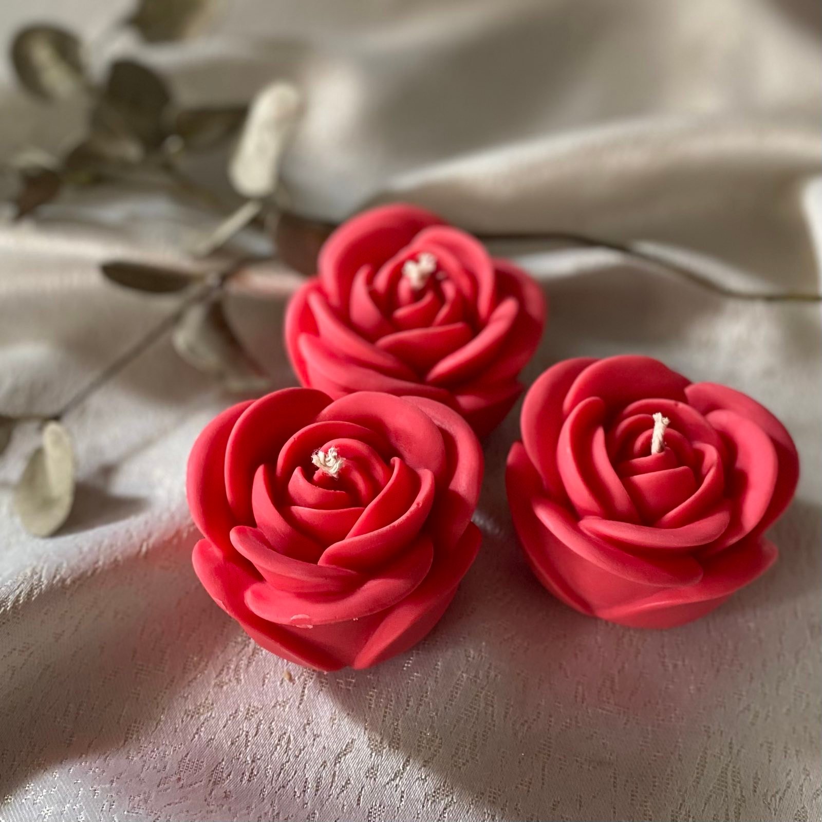 IMG-e08a5fed128c6464fd2126529d32dfb1-V